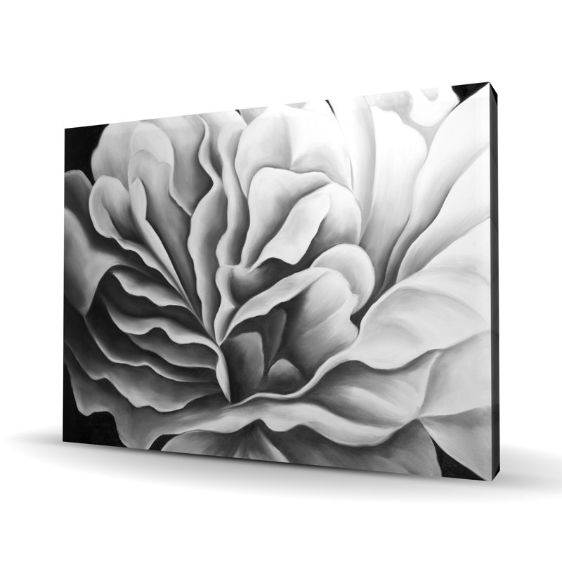 Magnifique fleur noire et blanche - art sur toile botanique