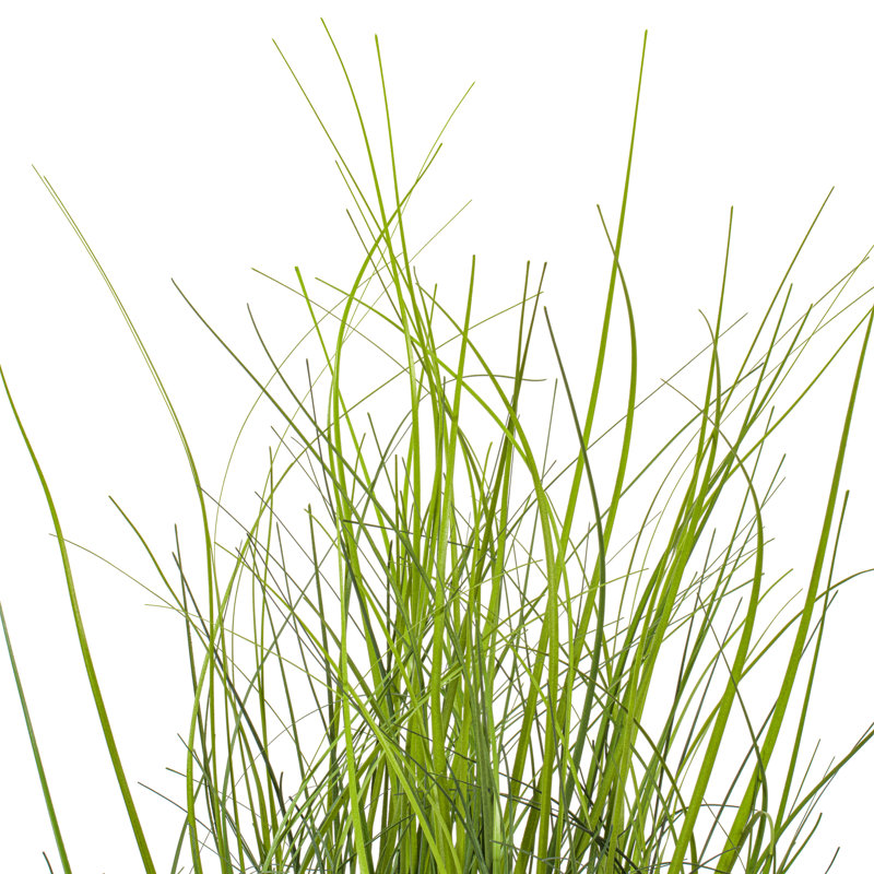  Herbe pour cheveux touffetée 24 po UV vert, 24"