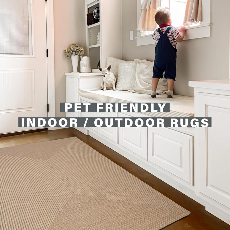  Braided Pet Friendly Rug / Washable Indoor/Outdoor Beige/Tan Rug, Oval 2'3" x 3'9"