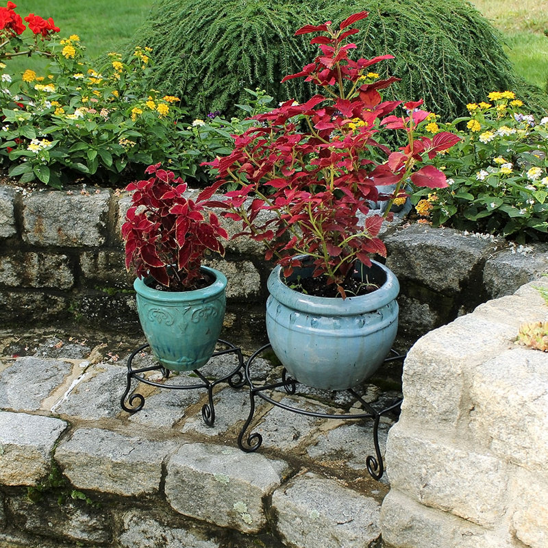 Support à plantes Varvara, H 6 po x l 16 po x P 14 po