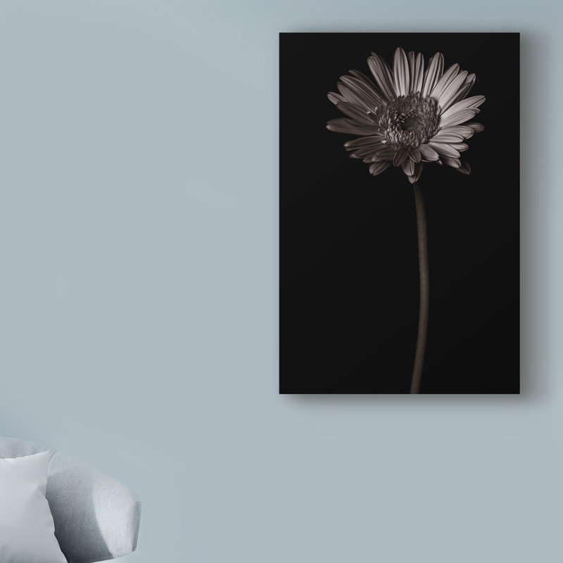 « gerber marguerite copy », reproduction de photo sur toile tendue, H 24 po x l 16 po x P 2 po