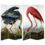 Paravent Audubon Heron and Flamingo
