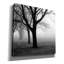 «Trees» par PhotoINC Studio-604192410