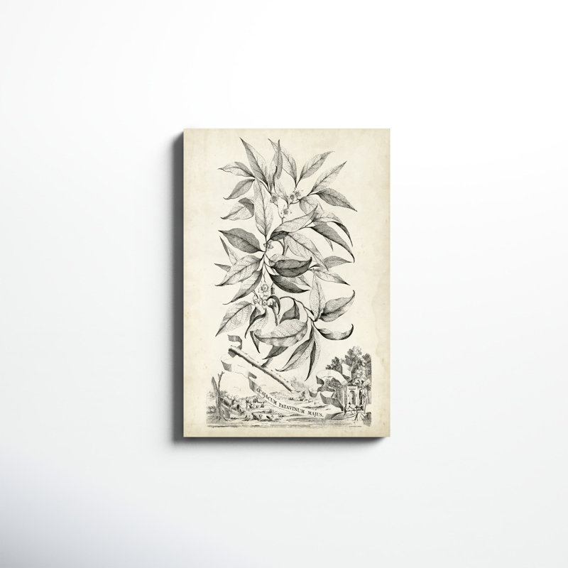 «Scenic Botanical IV», impression sur toile, H 30 po x l 20 po