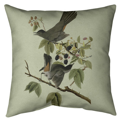 Coussin de sol pour chat avec oiseau John James Audubon-standard