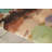 Prismatic Viscose Abstract Indoor Rug-37575912