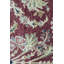Oriental Area Rug
