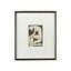 Stoic Print by Coup D'Esprit