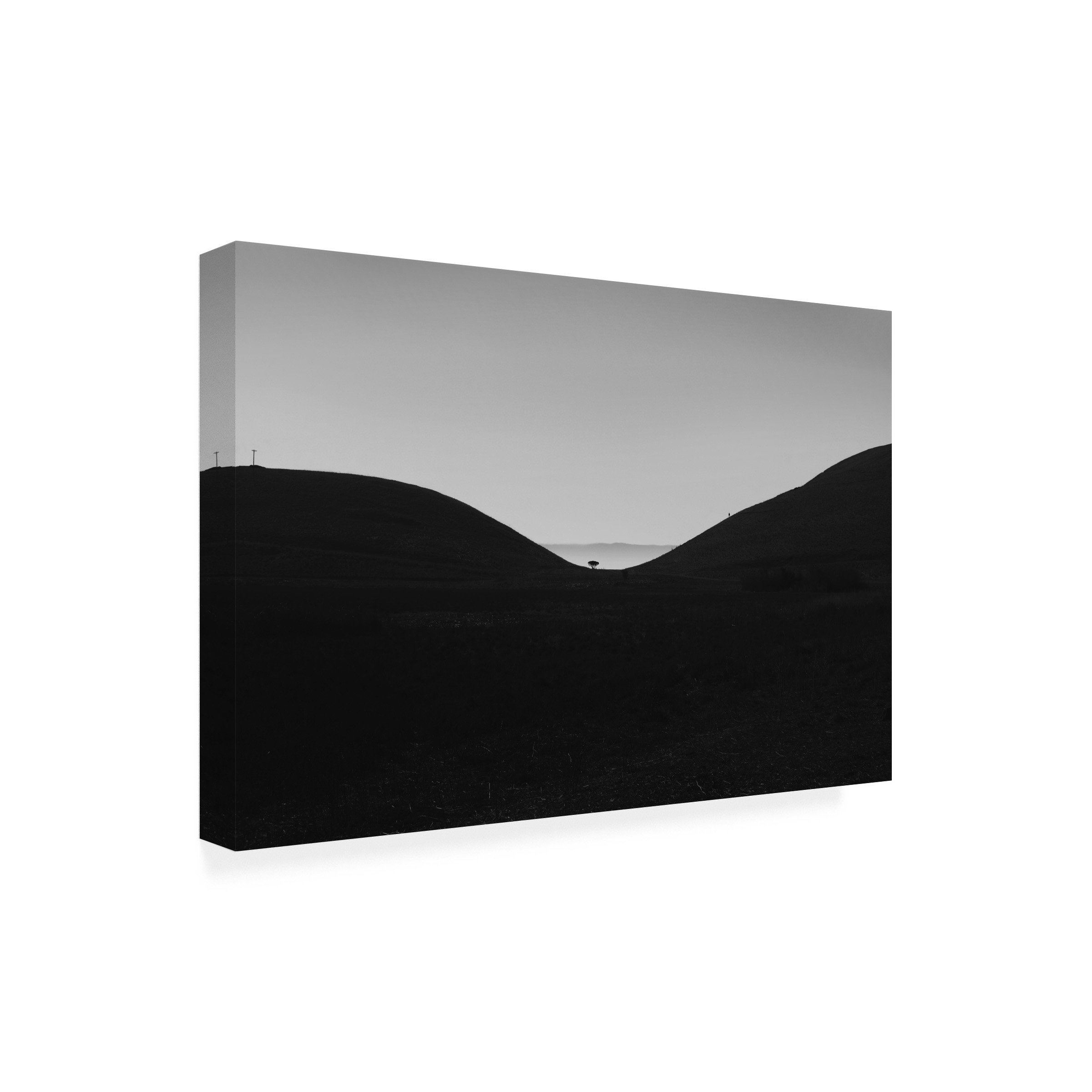 Ebern Designs Yi LiuCoyote Hills Sunset Canvas Art Wayfair