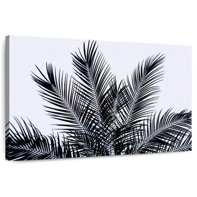 Feuilles de palmier Harnek