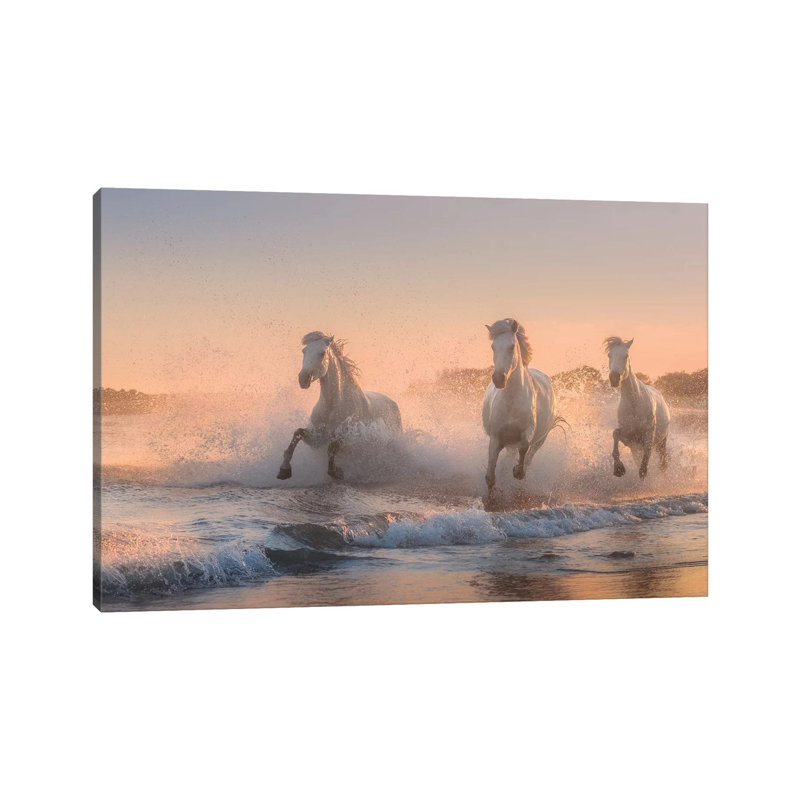 White Angels Of Camargue VI by Daniel Kordan - Print on Canvas, 30.48 cm H x 45.72 cm W, Wrapped Canvas