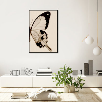 " Animals Sepia Butterfly II Insects "