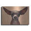 "Chihuahua" par Thomas Fluharty-1534620230