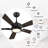 Lacurtis 56'' Ceiling Fan with LED Lights