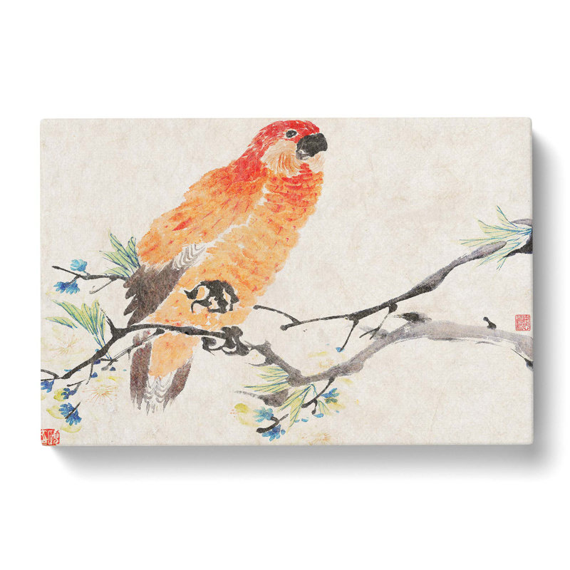 Parrot by Ren Yi - Wrapped Canvas Art - Wrapped Canvas, 40cm H x 60cm W x 3cm D