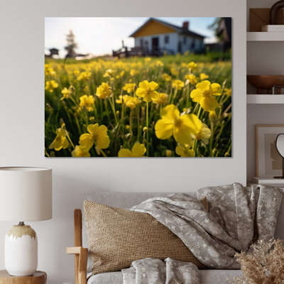 " Yellow Buttercups At The Farm I "