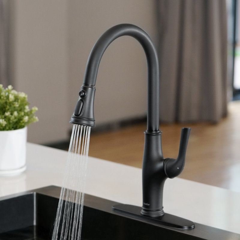 NEWATER Pull Down Kitchen Faucet, Matte Black