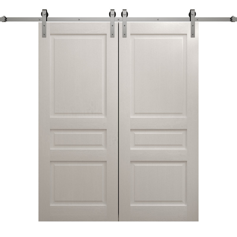 Porte de grange double moderne | Ego 5012 | Ensemble de rail argenté | Portes intérieures solides, 48 po x 80 po