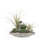 Faux Succulent Plant in Cement Pot