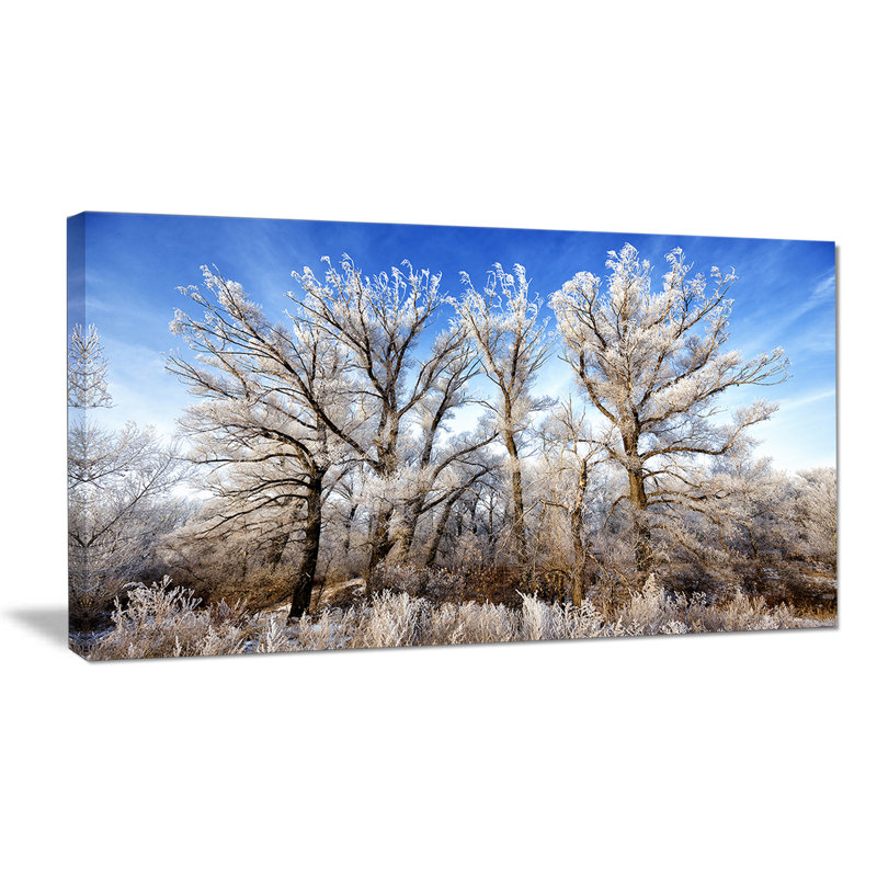 Beautiful Winter Evening View - Reproduction de photo sur toile tendue, H 28 po x l 60 po