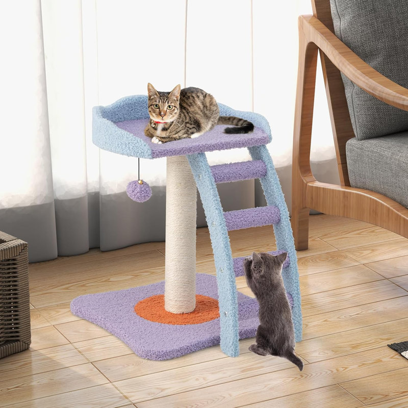 Talmo Cat Perch