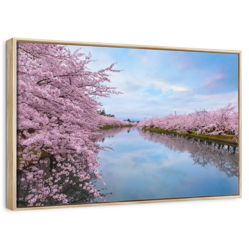 Fleur de cerisier en pleine floraison, 25 po x 17 po, Cadre flottant en bois naturel