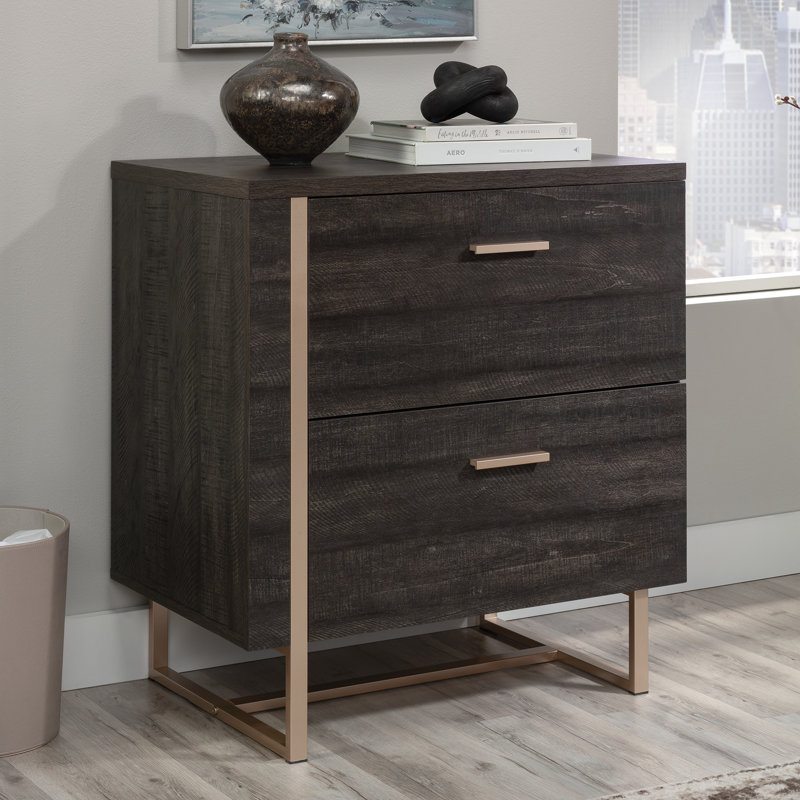 Avellana 27.95'' Wide 2 -Drawer File Cabinet