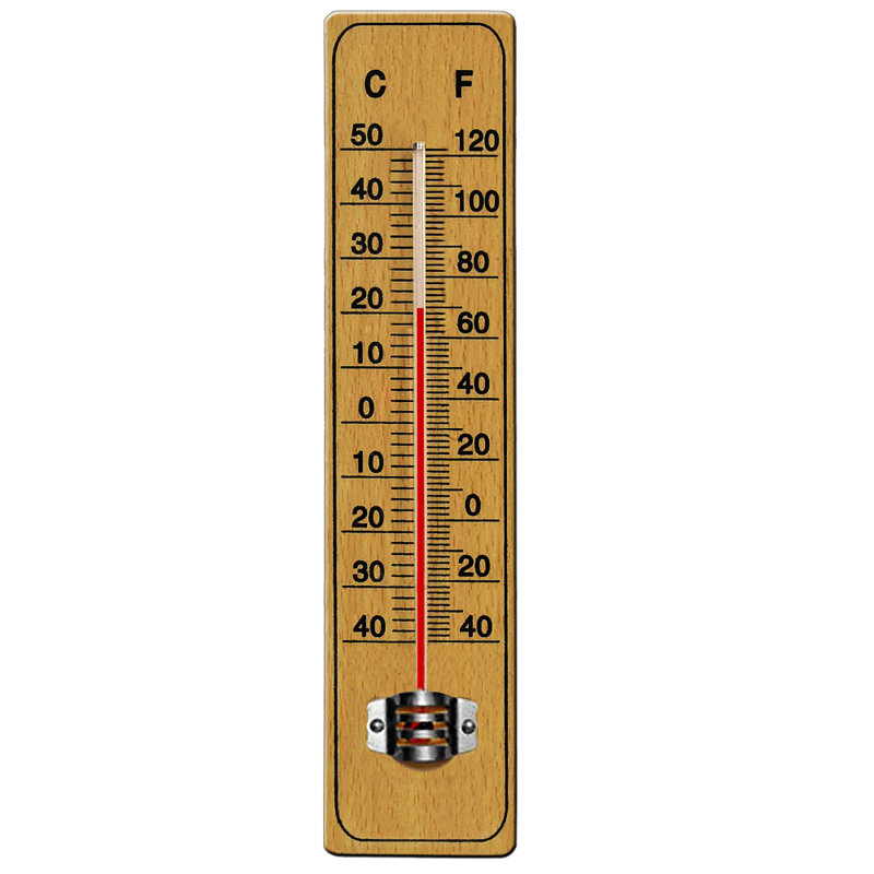 Mecham 22cm Wireless Outdoor Thermometer