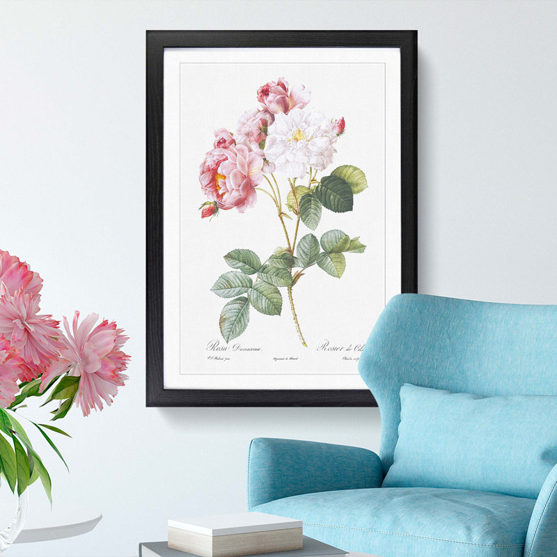 Damask Roses in Pink by Pierre-Joseph Redoute - Picture Frame Painting Print, 48cm H x 36cm W x 2cm D, Black Framed