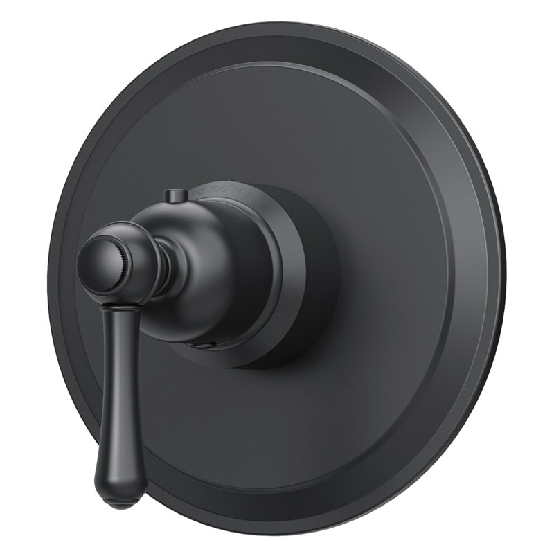 Garniture de robinet de douche thermostatique Opulence, Noir satiné