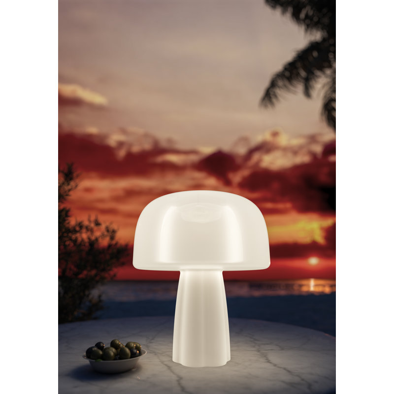 The Boleti Lamp