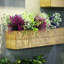 Magnolia Arrangement-781623989