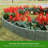 20 Pcs Cobbled Stone Effect Plastic Garden Lawn Border Edging