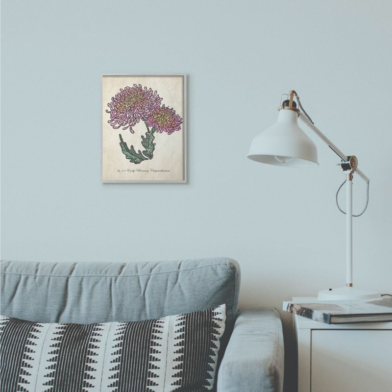 «Botanical Chrysanthemum Flower Pink Yellow», impression, H 11 po x l 14 po x P 1,5 po, Estampe numérique Farmhouse