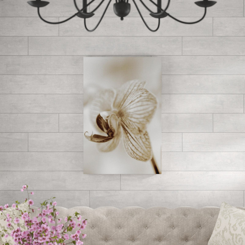 Sépia floral par Chelsea Art Studio - Impression sur toile, Couche de verre, H 45 po x l 30 po x P 1,5 po
