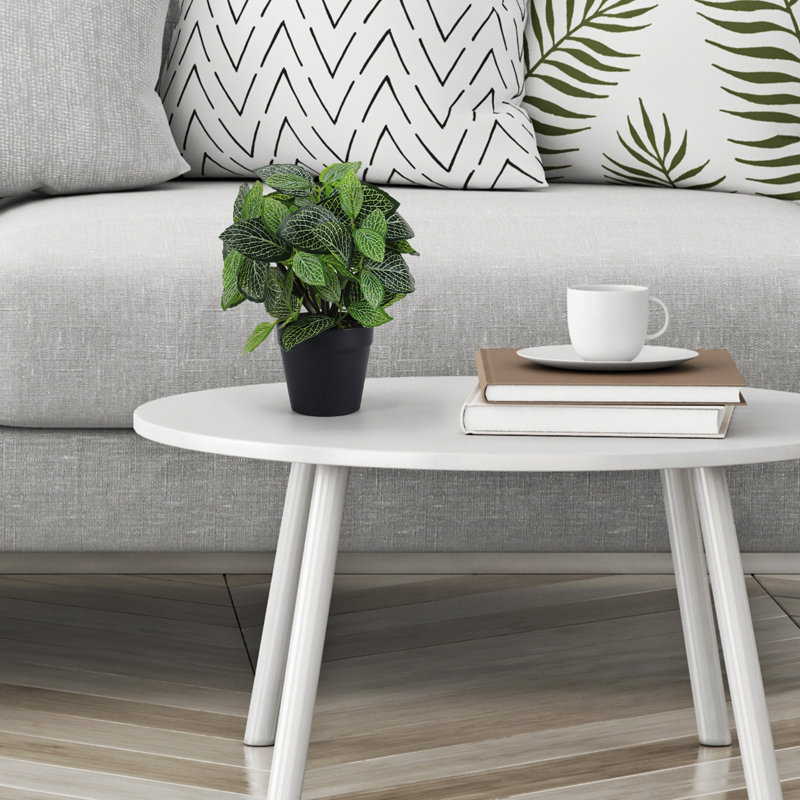 Plante artificielle en pot Fittonia