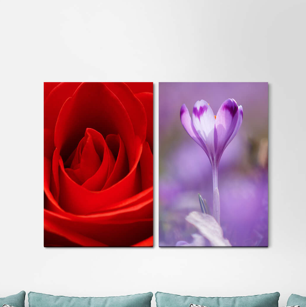 2-tlg. Leinwandbilder-Set - Fotografie „Rose Flowers Romantic Red Love Feminine”