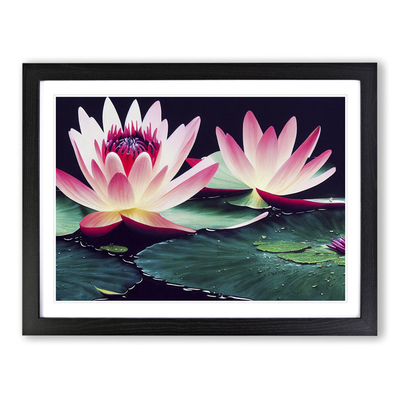 Grand Water Lily Flowers - Print, Black, 46cm H x 64cm W