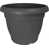 Anthracite is out of stock