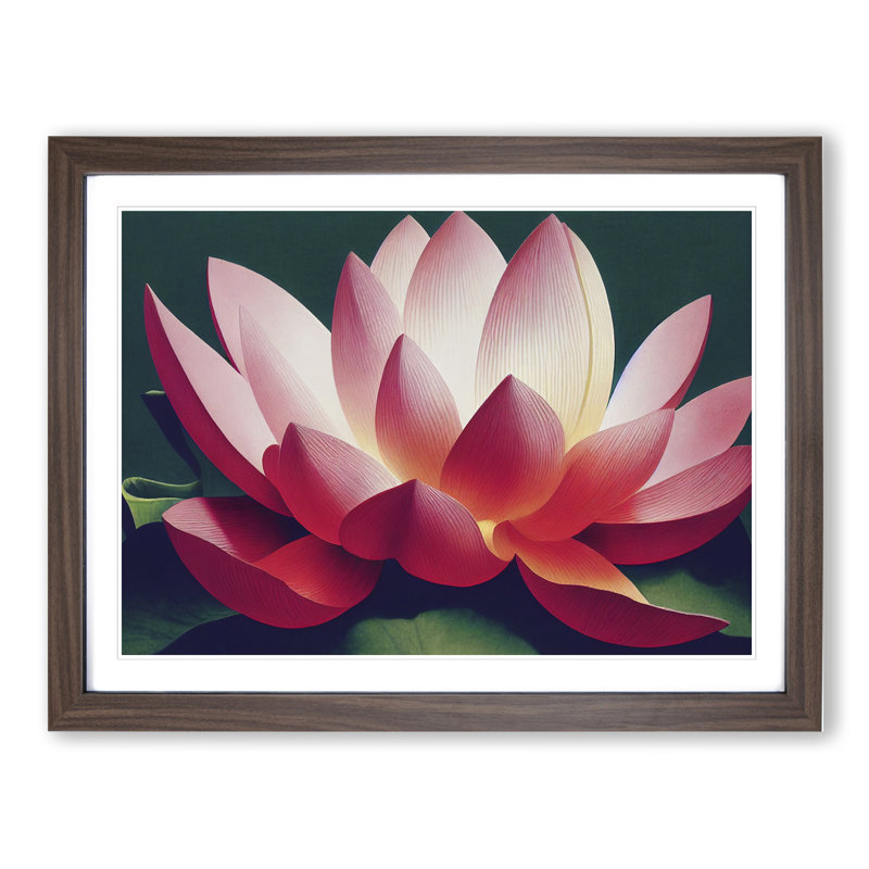 Desirable Lotus Flower 1 Piece Single Picture Frame Painting, 34cm H x 46cm W x 2cm D, Walnut