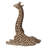 Baby Giraffe Lying