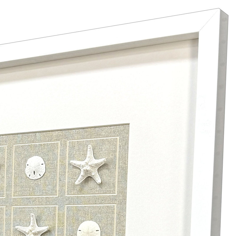 Shell Collection Framed Art
