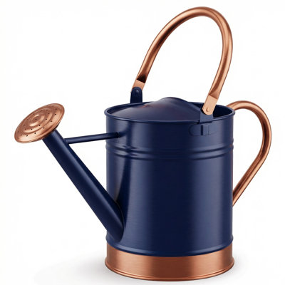Gardenised 1-gallon Steel Watering Can With Precision Long Spout And Removable Sprinkler Head For Controlled Or Shower Watering Ideal For Indoor & Outdoor Plants Flowers & Houseplants, Blue