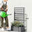Trellis Planter Box,Raised Garden Bed,Vegetable Box-129086867