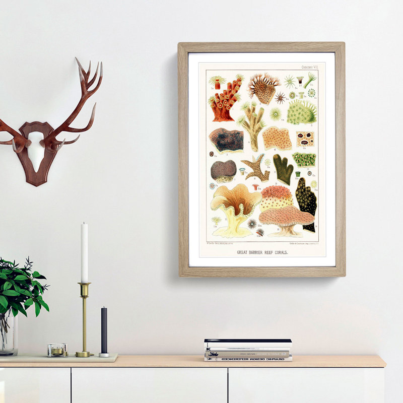 Great Barrier Reef Corals VIII by W. Saville-Kent - Picture Frame Painting Print, Oak Framed, 65cm H x 48cm W x 2cm D
