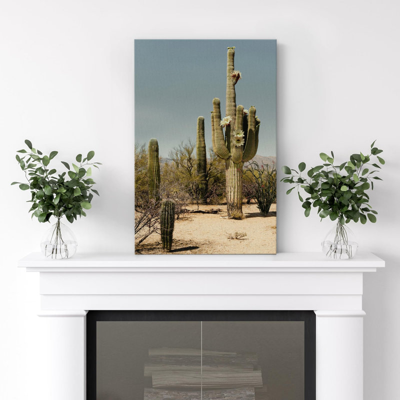 «Saguaro Cactus Brush Nature Wilderness Southwest Desert» sur toile, H 18 po x l 12 po