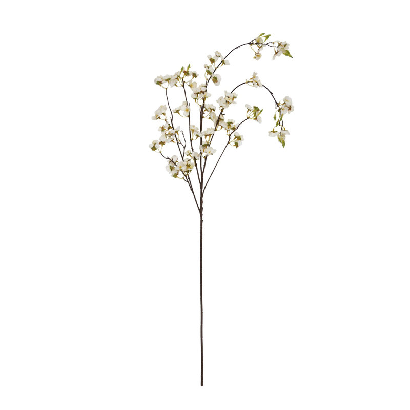 Anastasija Arrangement