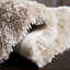 Gentas Hand Tufted Shag Solid Color Area Rug-23513905
