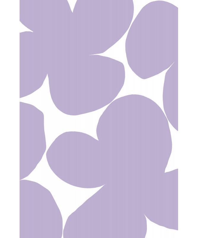 Wrapped Canvas Print, 50.8 cm H x 76.2 cm W