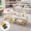 Sled Coffee Table with Storage-947890395